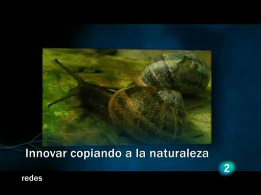 Innovar copiando a la Naturaleza