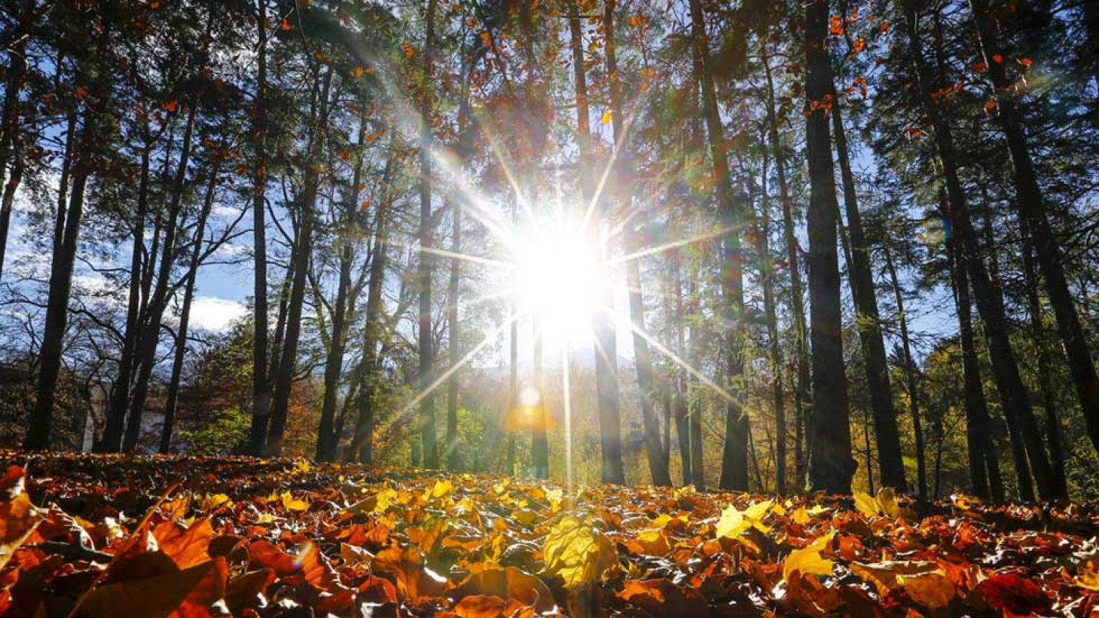 El Tiempo en la Comunidad de Madrid - 13/11/15