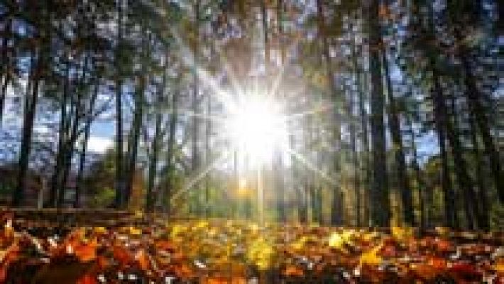 Informativo de Madrid - El Tiempo en la Comunidad de Madrid - 13/11/15