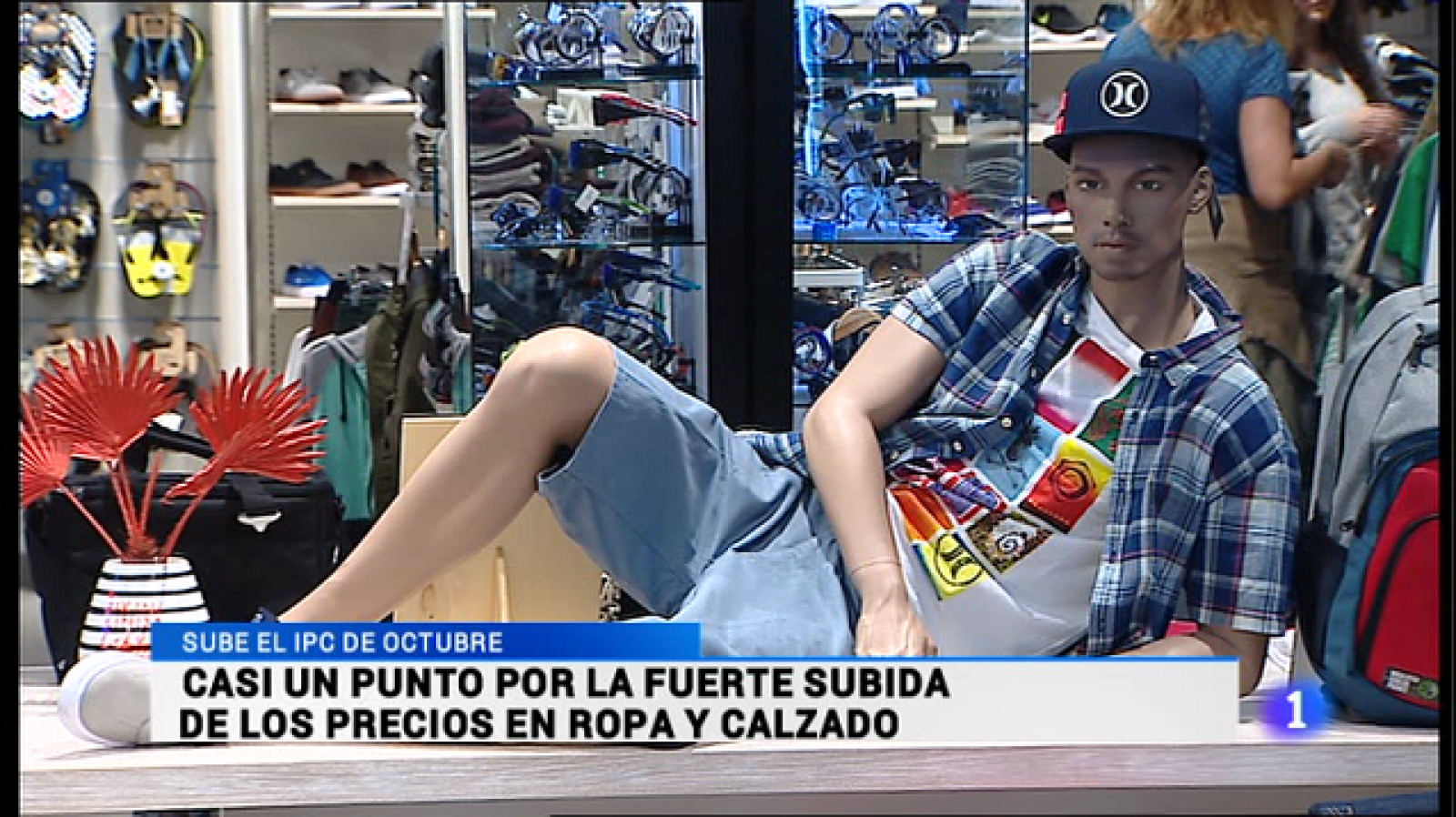 Informativo Telerioja - 13/11/15