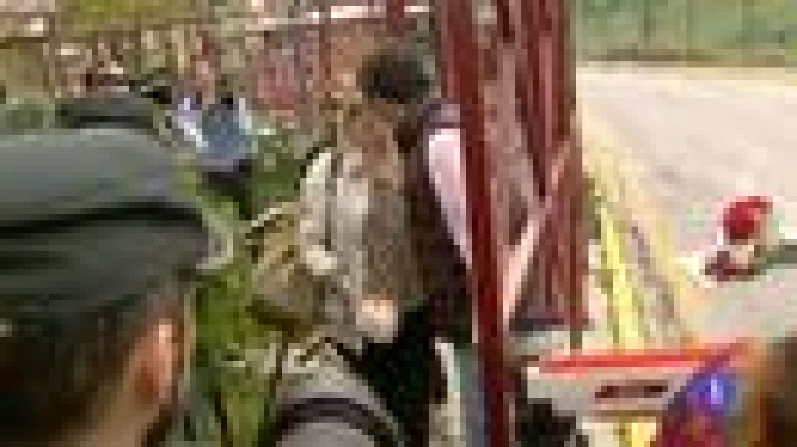 Noticias Andalucía 2 - 13/11/2015 | Ver