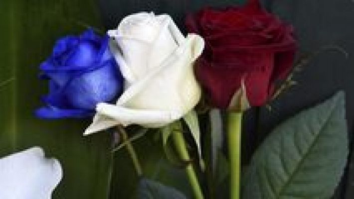 Telediario 1 - Telediario - 15 horas - 14/11/15