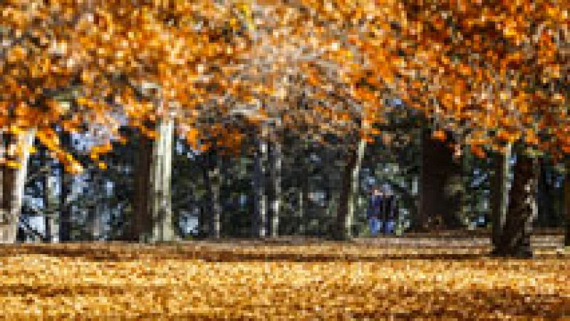 Temperaturas en aumento en la mitad norte y cielos poco nubosos