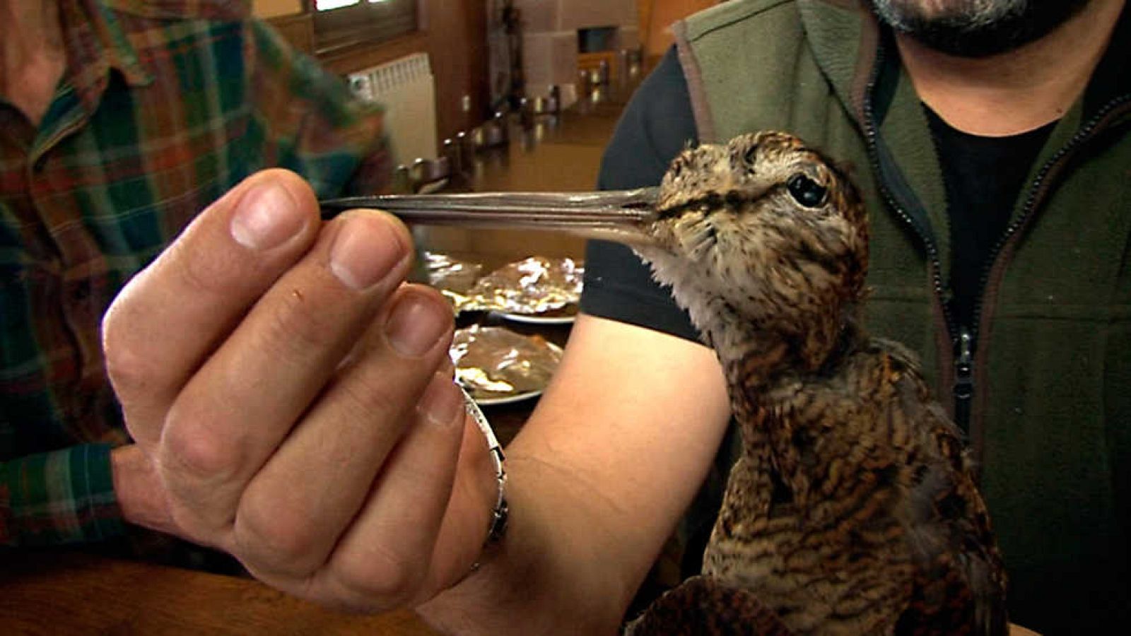 Comando Actualidad - Lo nunca visto - ver ahora