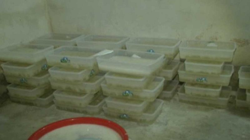 Los investigadores sospechan que los terroristas podían haber utilizado Captagón, llamada la droga de los Yihadistas