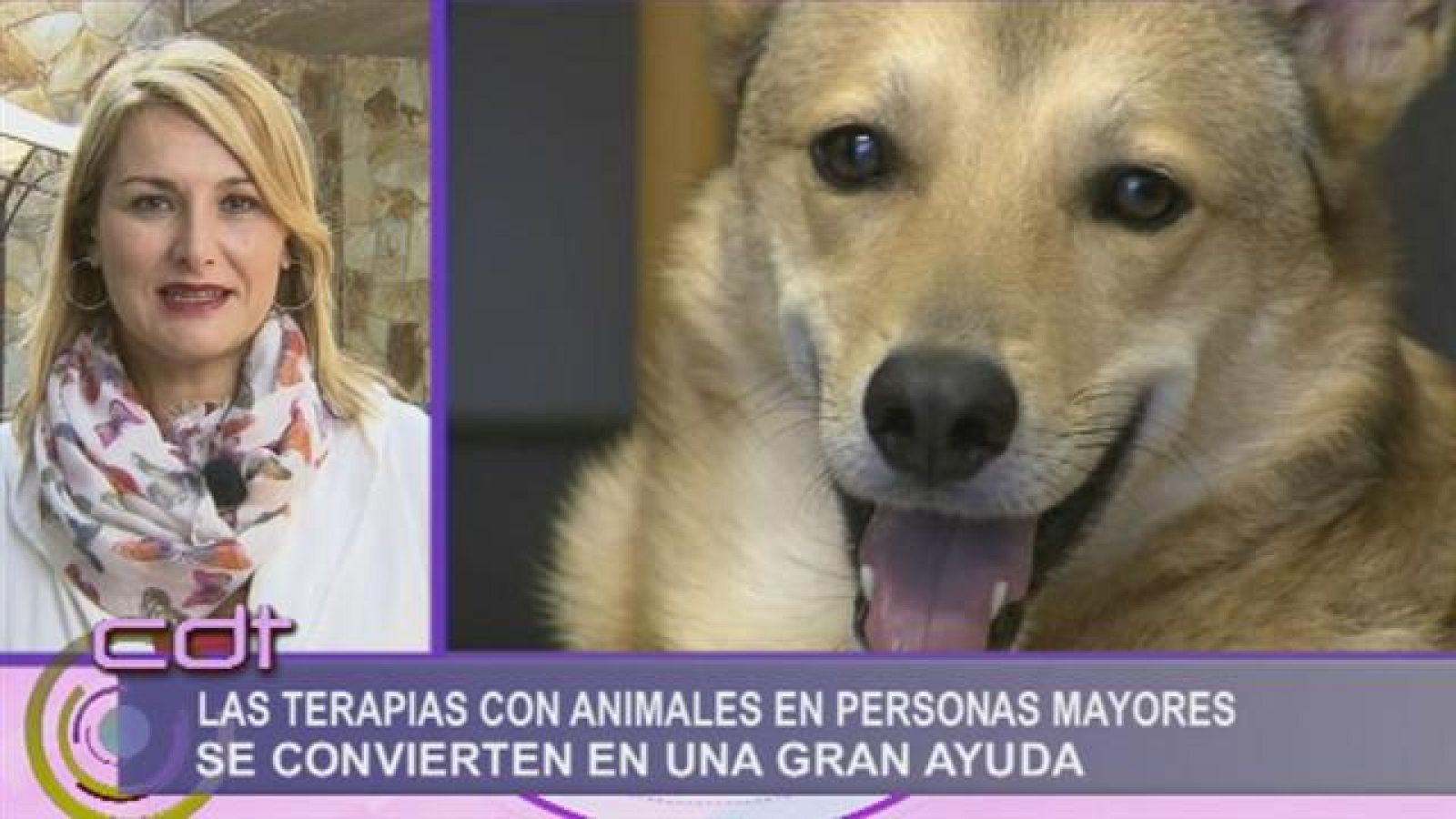 Cerca de ti - 19/11/2015