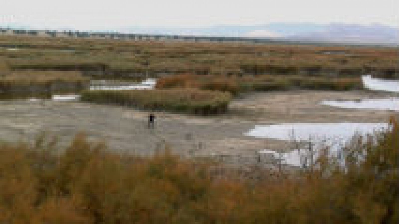 Luismi en las Tablas de Daimiel