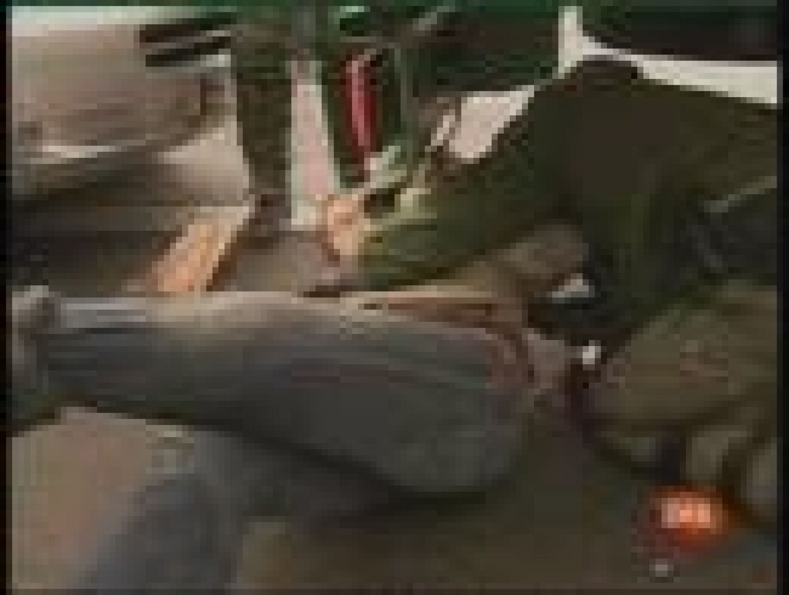 La basura nuclear llega a Gorleben con un día de retraso | Ver