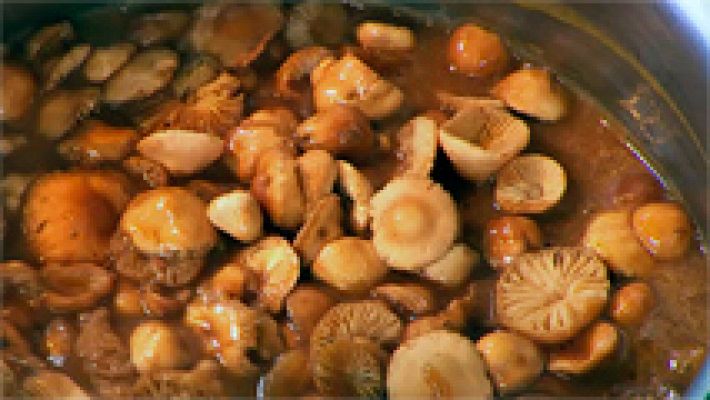 RTVE Cocina - Receta de estofado de ternera y setas