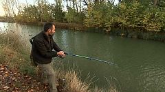 Jara y sedal - Lucios en el Canal de Castilla