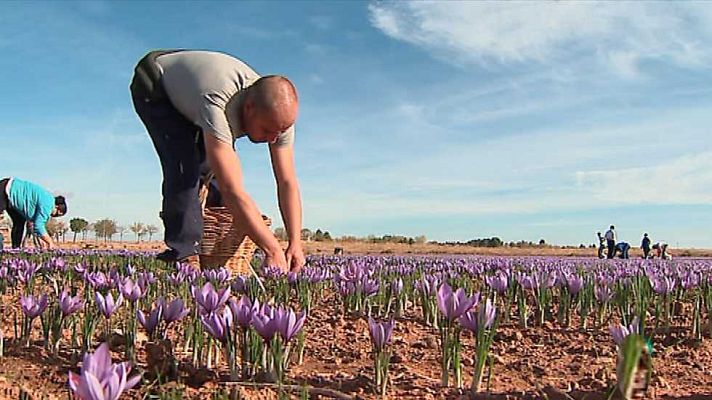 Agrosfera - Agrosfera - 21/11/15