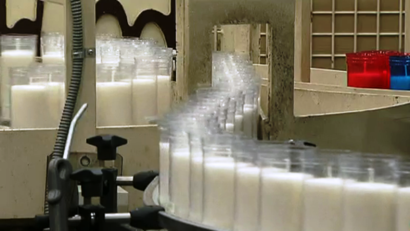 Fábrica de ideas - Imita: Ceras Roura