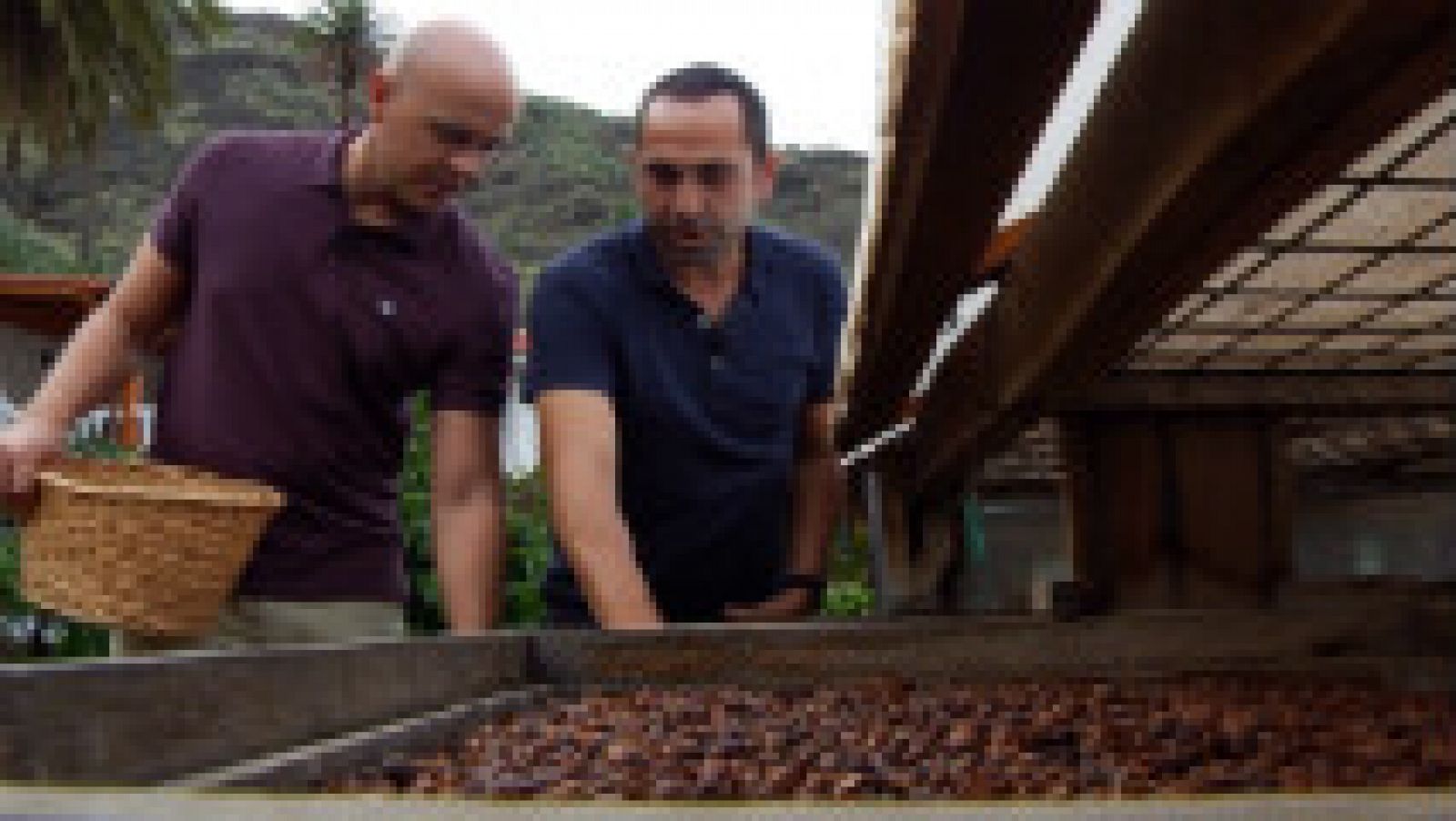  Café canario, el único en Europa