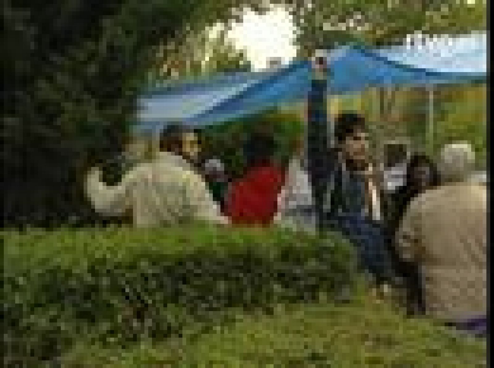 En Fuenlabrada, miles de personas acampan para conseguir una casa | Ver