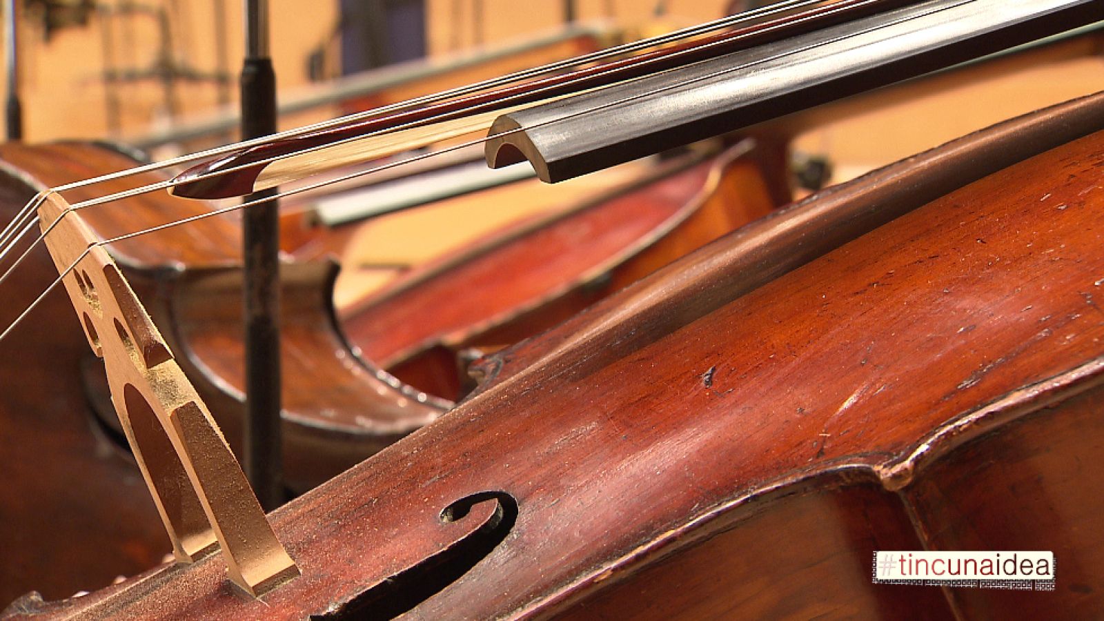 Tinc una idea - 29/11/2015