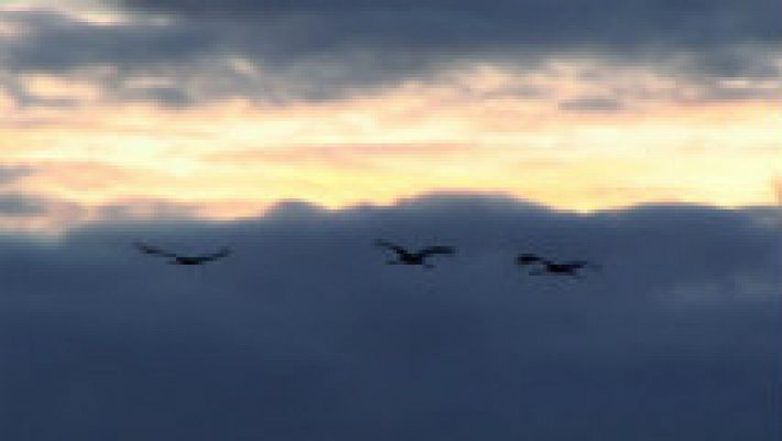 Aquí la Tierra - Partiendo el viento