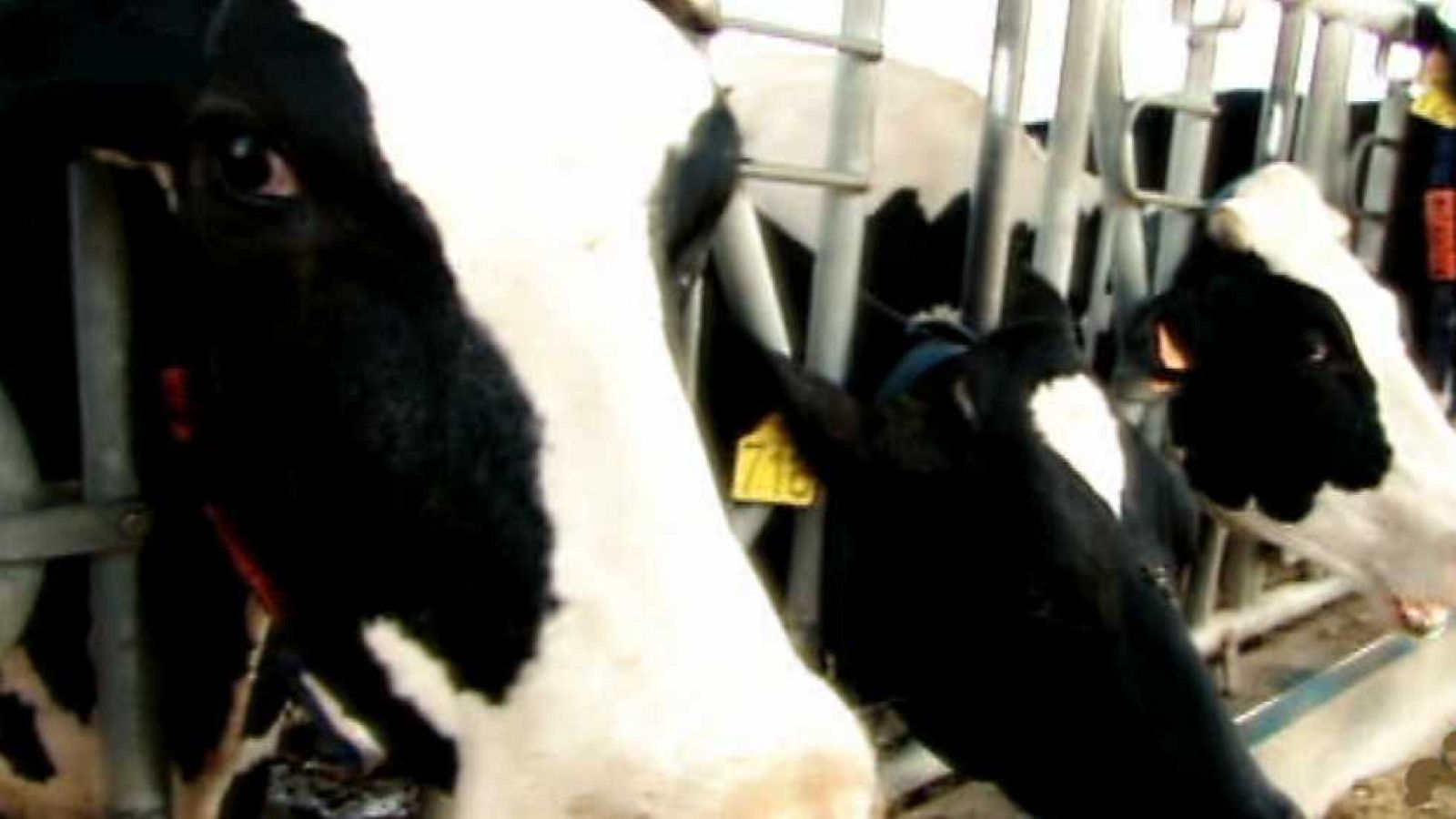 Aquí hay trabajo - 27/11/15 - Ver ahora