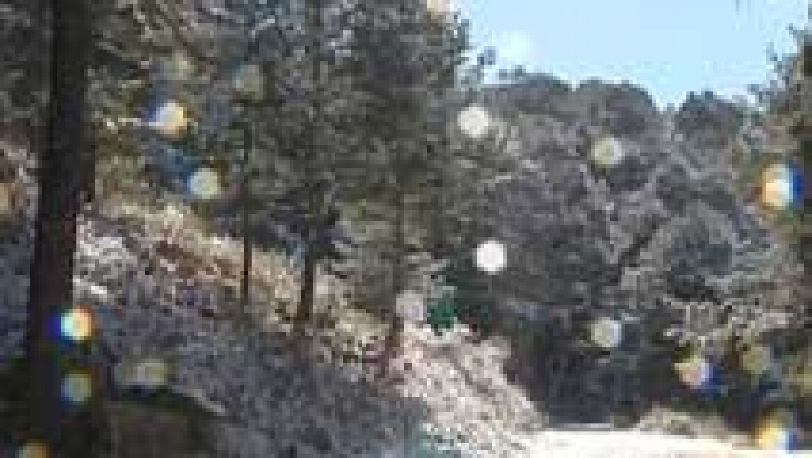 El Tiempo en la Comunidad de Madrid - 27/11/15