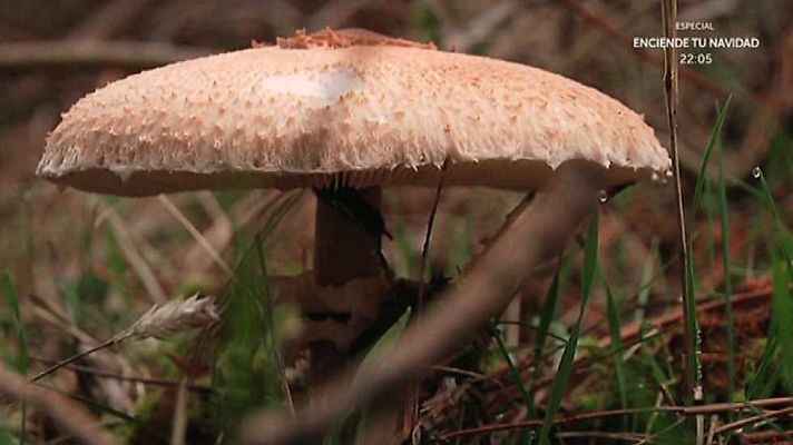 Aquí la Tierra - Aquí la Tierra - 27/11/15