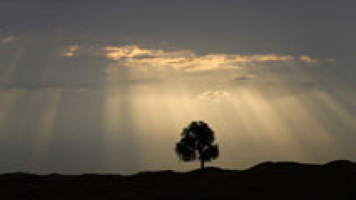 El tiempo - Levante fuerte en el Estrecho