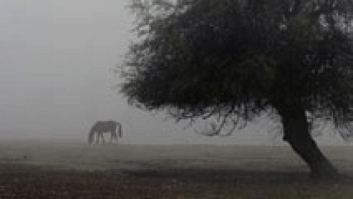 Viento fuerte en el Estrecho de Gibraltar y posibles nieblas en la meseta norte