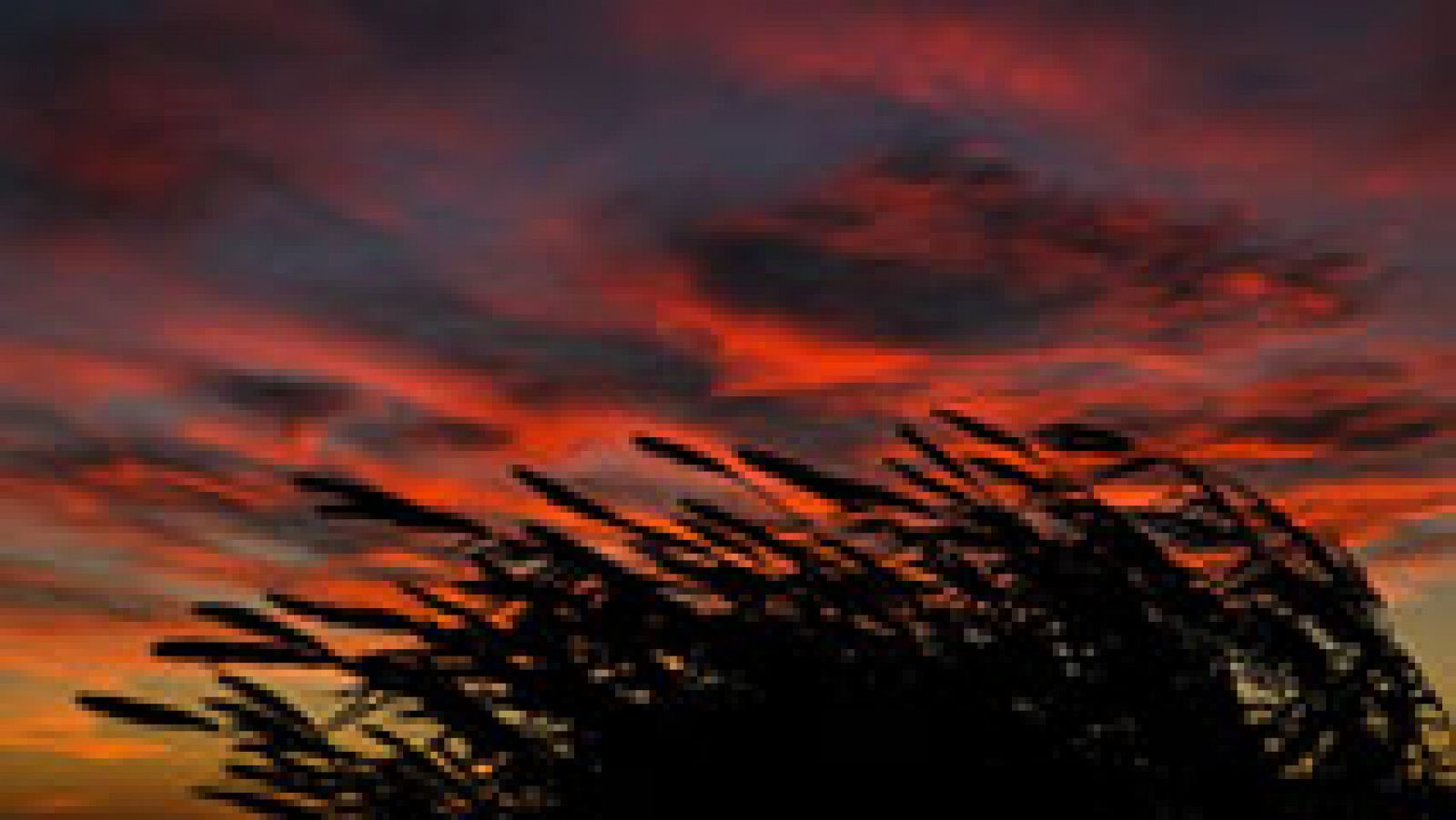 El tiempo: Intervalos nubosos y viento fuerte de levante en el área del Estrecho | RTVE Play