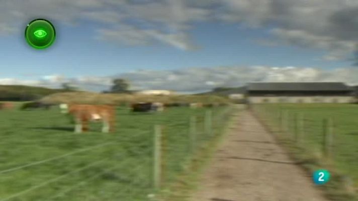 Agrosfera - Irlanda: un país de carne y leche.