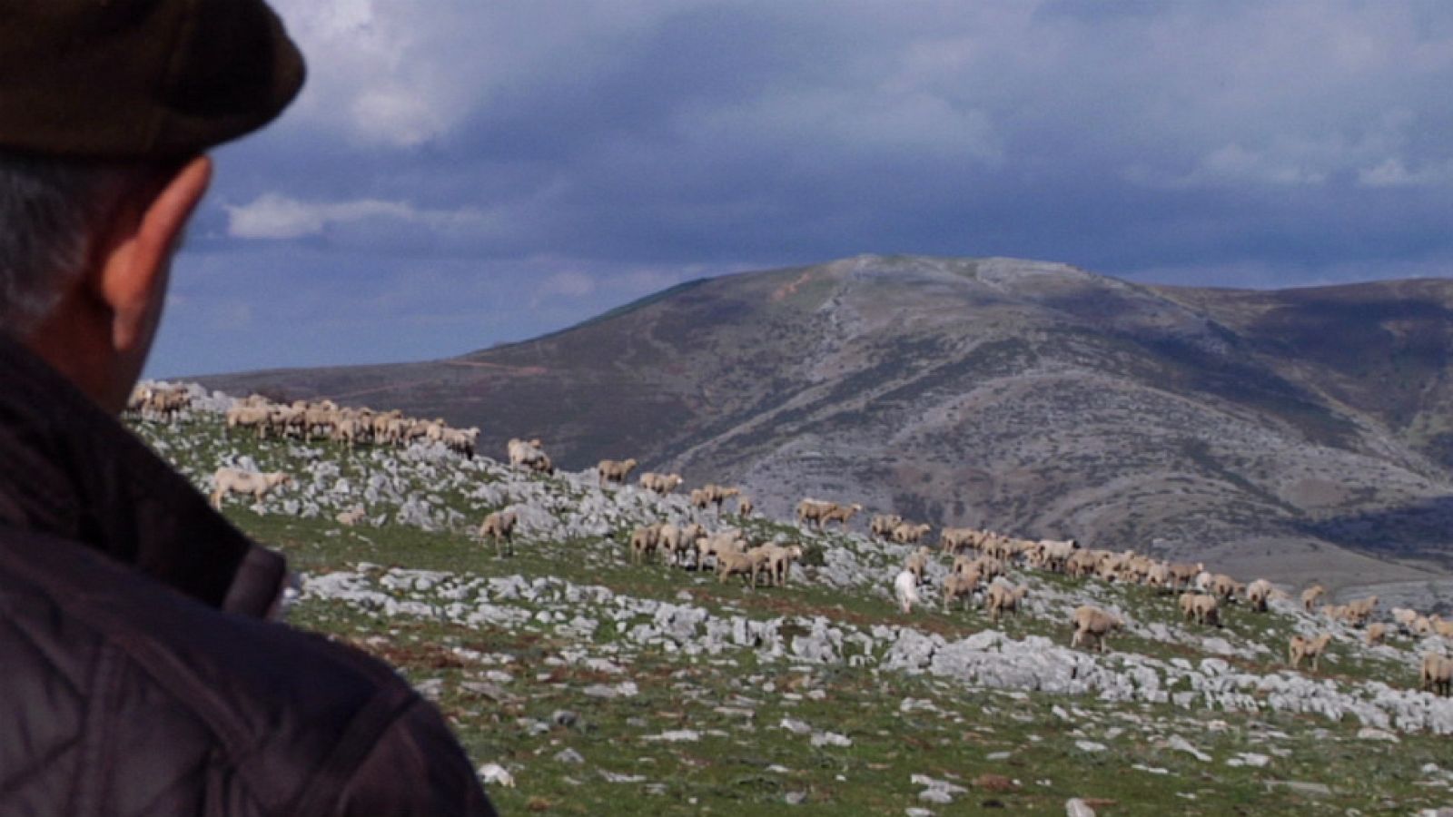 Los viejos tiempos de la trashumancia