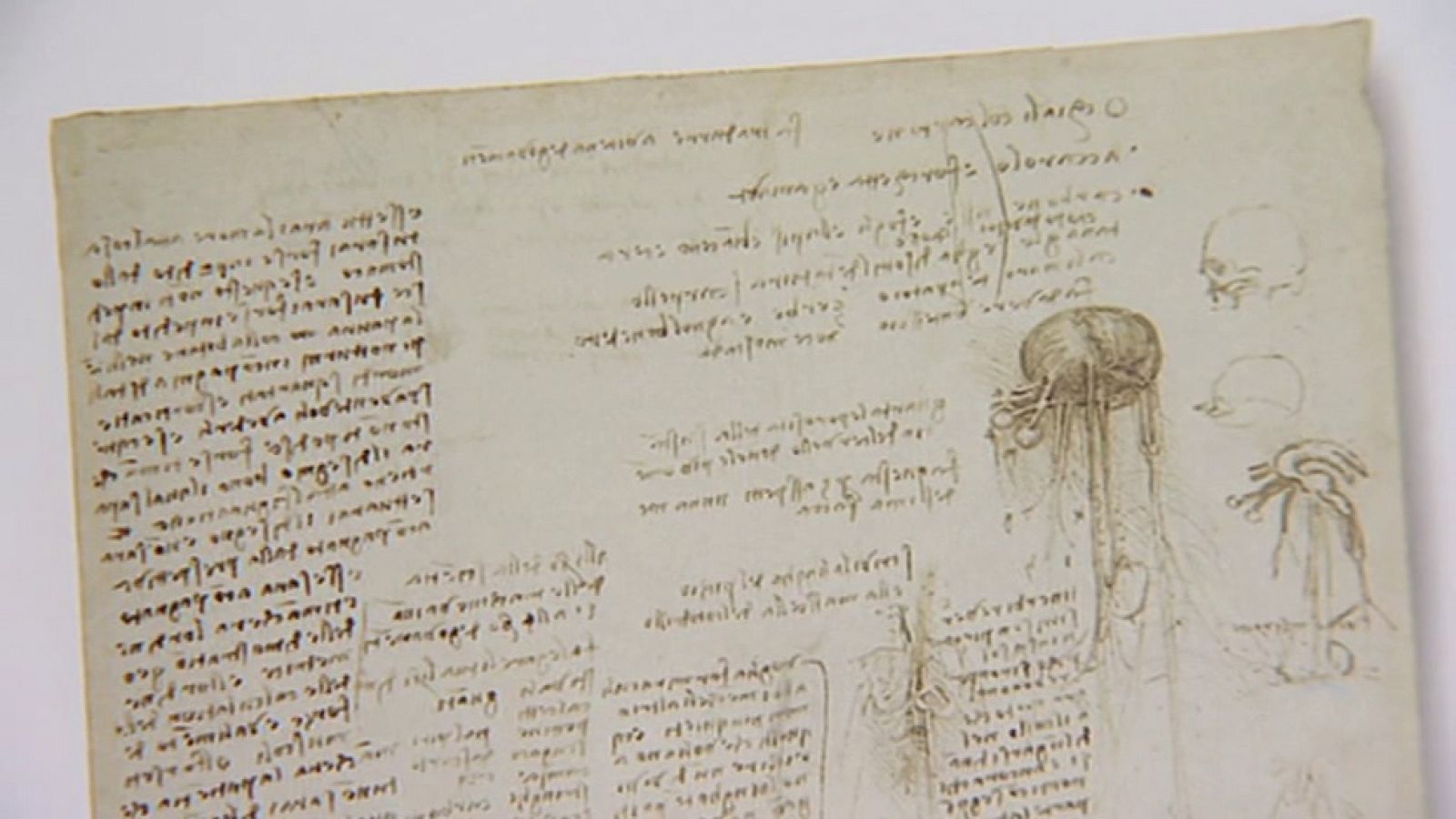 'Listas memorables', de las tareas pendientes de Leonardo da Vinci a las conquistas masculinas deseables de Marilyn Monroe