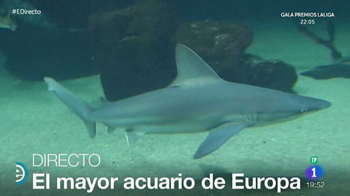 España Directo - España Directo - 30/11/15