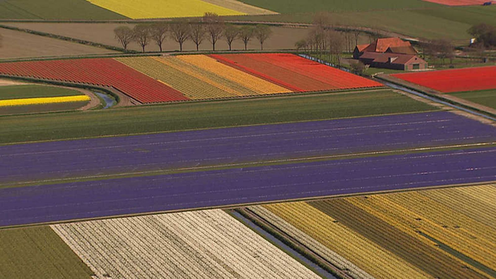 Documenta2 - Home: Historia de un viaje (1ª parte) - Ver ahora