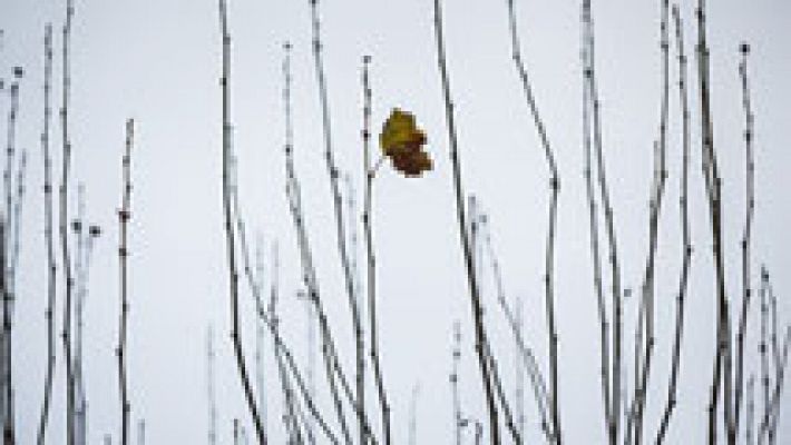 El tiempo - Suben las temperaturas en gran parte de la Península