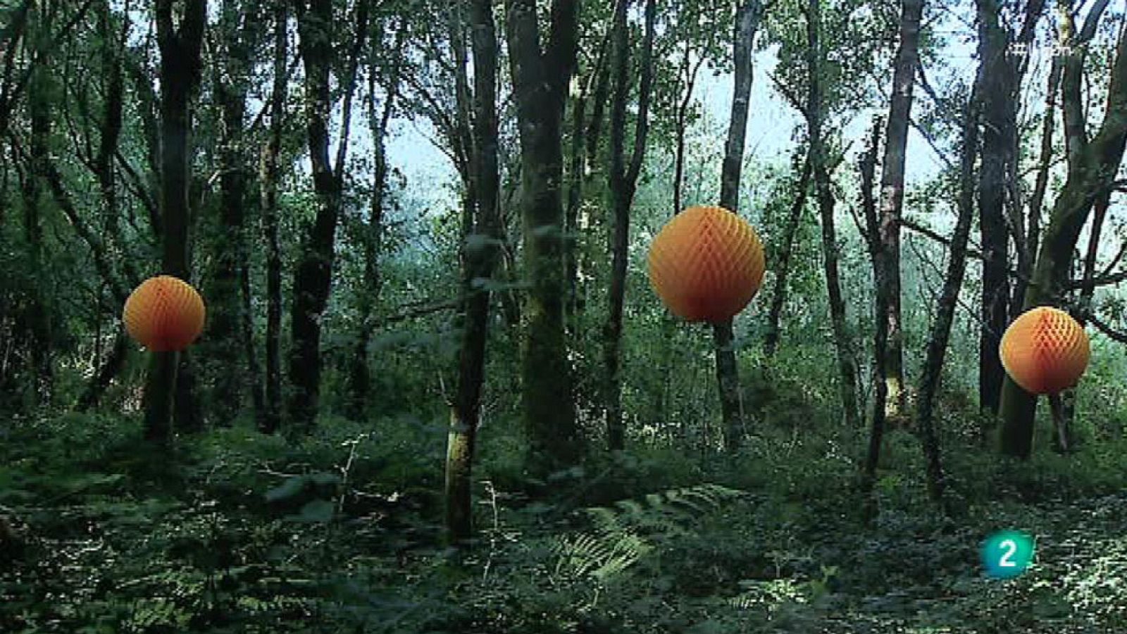 La 2 Noticias - 'Upcycling'. La belleza del desecho - La 2 Noticias | Ver