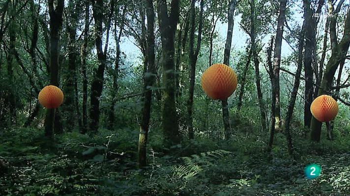 La 2 Noticias - 'Upcycling'. La belleza del desecho