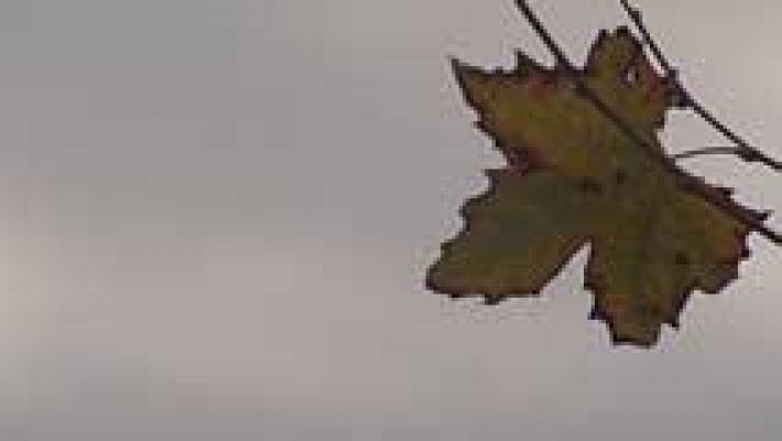 Informativo de Madrid - El Tiempo en la Comunidad de Madrid - 03/12/15