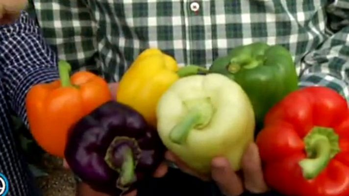 España Directo - Pimientos de El Ejido: variedades para todos los gustos
