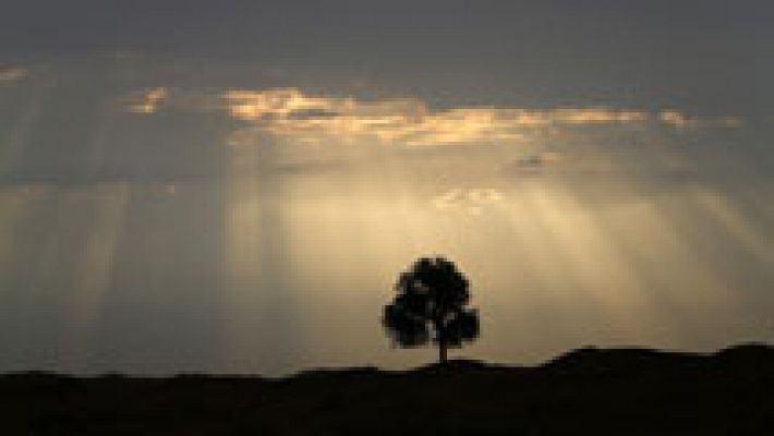 El tiempo - Intervalos de viento fuerte de levante en el Estrecho