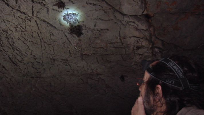 Aquí la Tierra - Luismi y los murciélagos