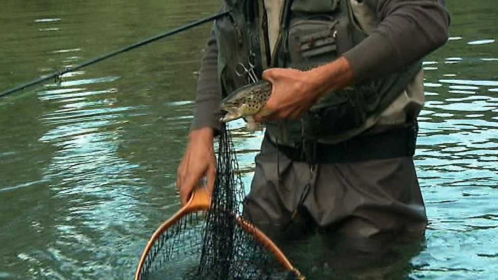 Jara y sedal - Regreso a los Pirineos, truchas y salvelinos - Ver ahora
