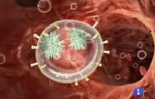Ciencia y tecnología en Rtve.es - Combatió el SIDA con un trasplante