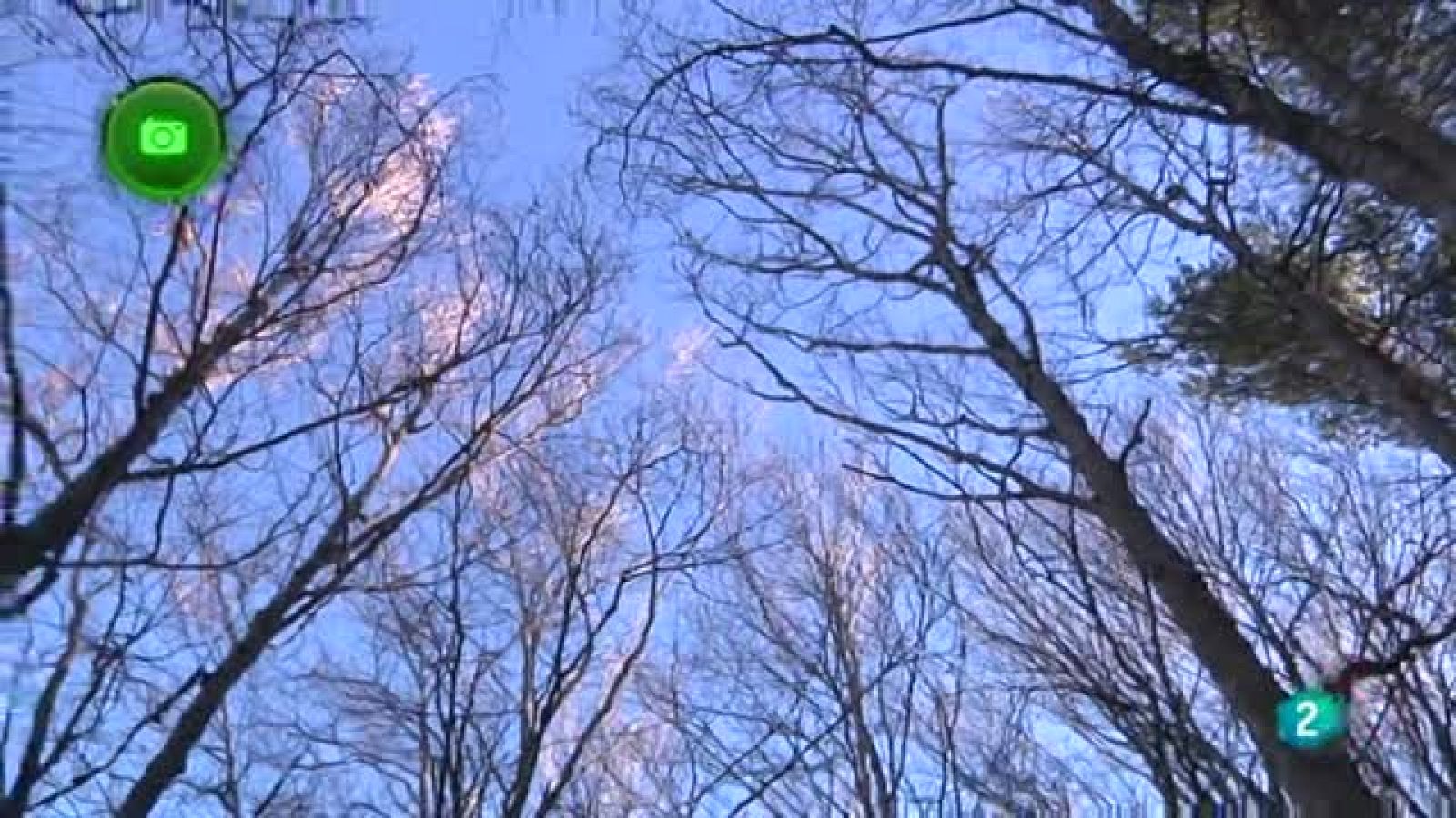 Agrosfera - En clave rural - Hayedo de Tejera Negra