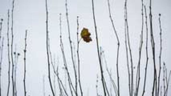 Informativo de Madrid - El Tiempo en la Comunidad de Madrid - 08/12/15