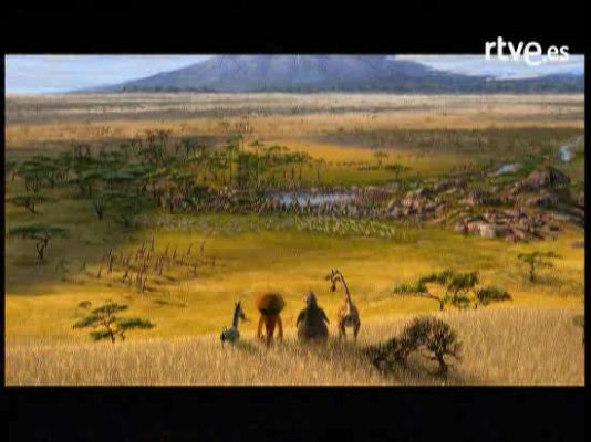  - LLega Madagascar II