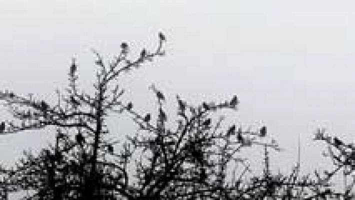 Informativo de Madrid - El Tiempo en la Comunidad de Madrid - 09/12/15