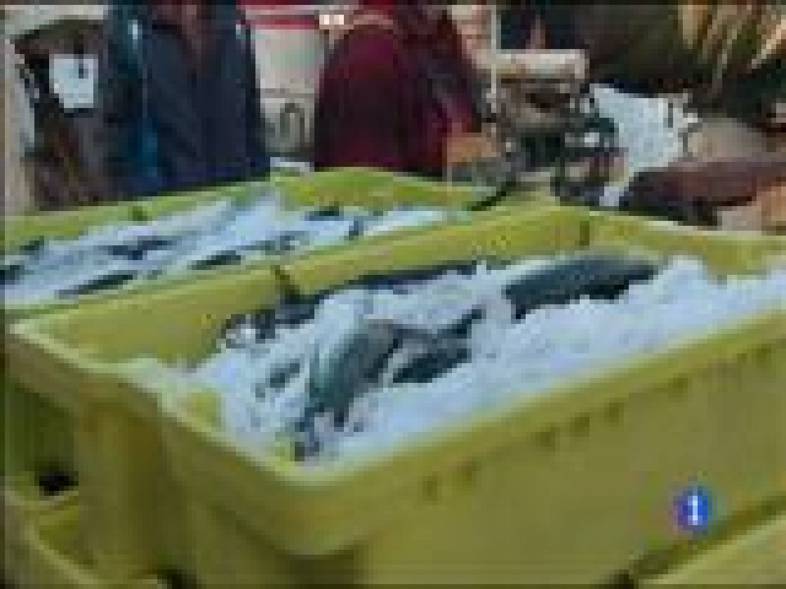 Panorama Regional - 09/12/15 | Ver