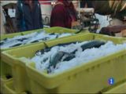 Panorama Regional - Panorama Regional - 09/12/15