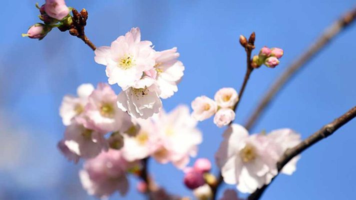 El tiempo - Cielos nubosos y lluvias en el sureste, el Golfo de Vizcaya y los Pirineos