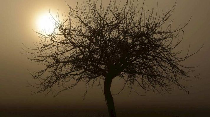 El tiempo - Levante fuerte en el Mediterráneo andaluz y muy fuerte en el Estrecho