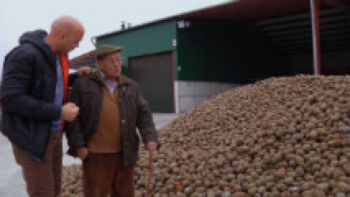 Aquí la Tierra - ¿Por qué los piñones son tan caros?