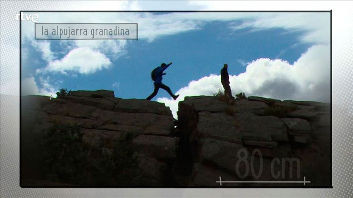 80 cm - Alpujarra - Avance